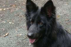 0023-Ferien-mit-Hund