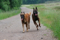 0034-Ferien-mit-Hund