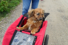 0035-Ferien-mit-Hund
